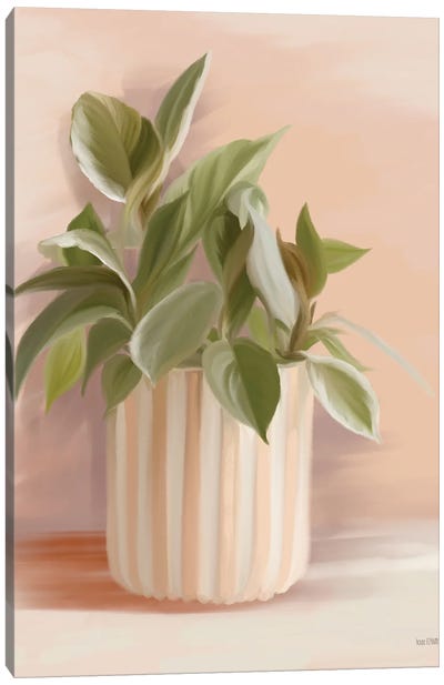 Striped Bohemian Plant I Canvas Art Print