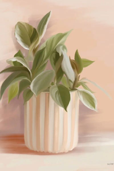 House Fenway: Striped Bohemian Plant I by House Fenway