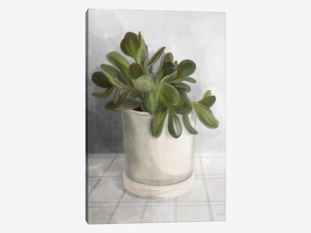 Ironstone Planter II by House Fenway 1-piece Canvas Art
