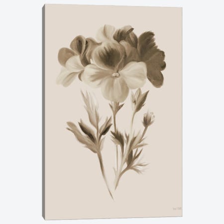 Sepia Botanical I Canvas Print #HFE240} by House Fenway Canvas Artwork