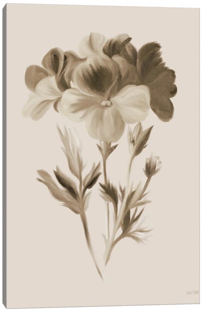 Sepia Botanical I Canvas Art Print - House Fenway