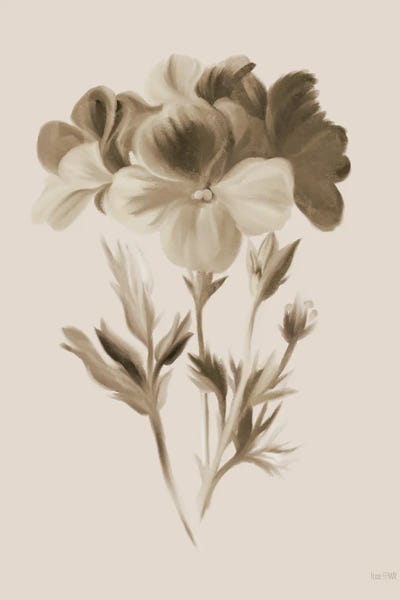 House Fenway: Sepia Botanical I by House Fenway