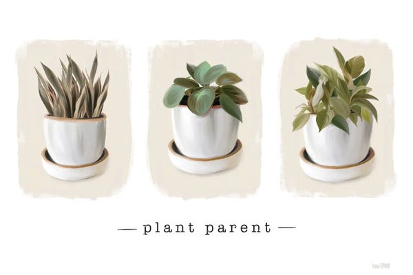 House Fenway: Plant Parent by House Fenway