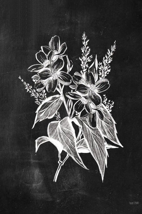 Chalkboard Wildflower I