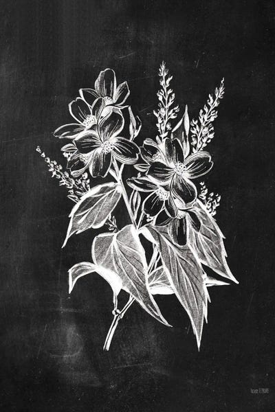 Botanical Illustrations: Chalkboard Wildflower I by House Fenway