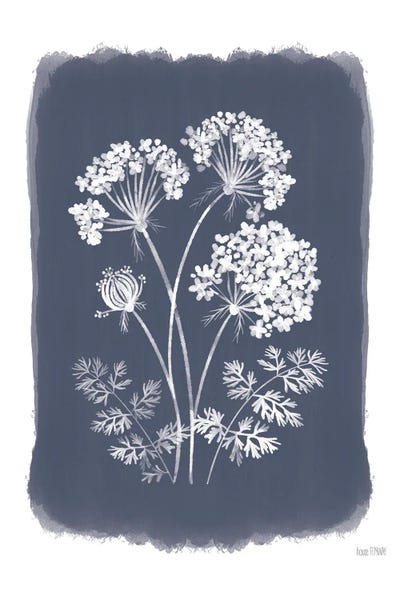 House Fenway: Navy Lace I by House Fenway