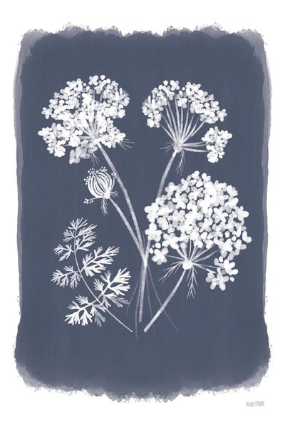 House Fenway: Navy Lace II by House Fenway