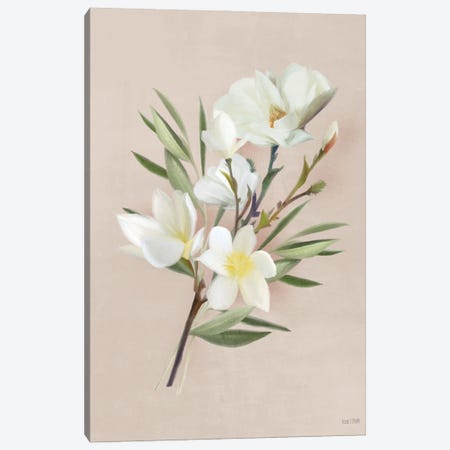 Spring Magnolias Canvas Print #HFE64} by House Fenway Canvas Art