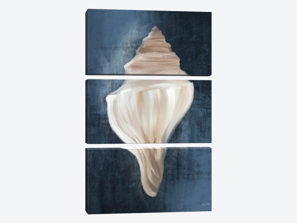 Conch Shell Blues I by House Fenway 3-piece Canvas Art