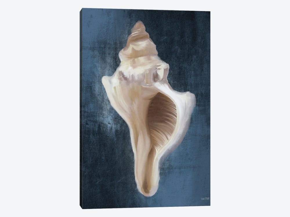 Conch Shell Blues II by House Fenway 1-piece Canvas Print