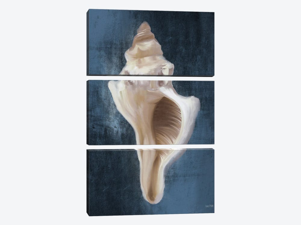 Conch Shell Blues II by House Fenway 3-piece Canvas Print