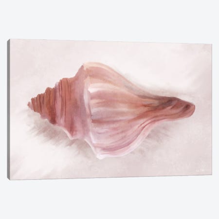 Conch Shell Blush I Canvas Print #HFE75} by House Fenway Canvas Art Print
