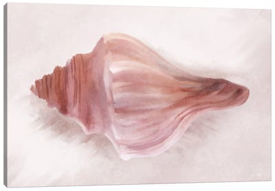 Conch Shell Blush I Canvas Art Print