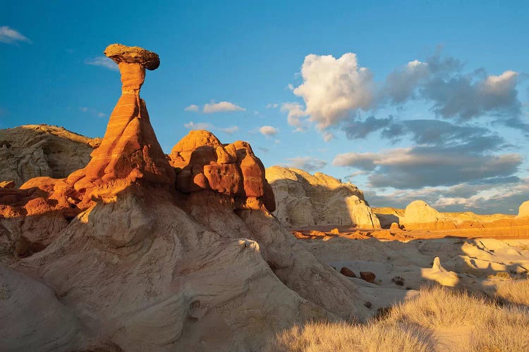 Toadstool-Shaped Hoodoo, Grand Staircase-Escalante National Monument, Utah, USA