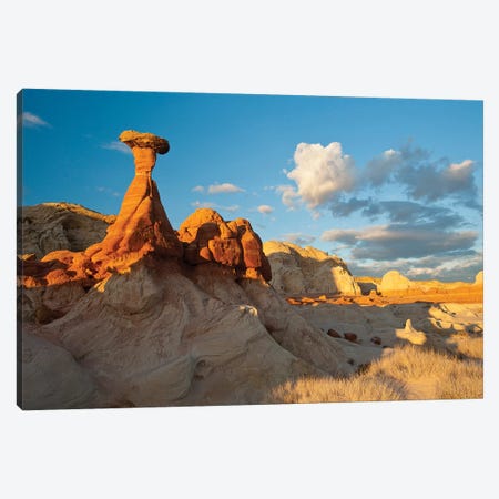 Toadstool-Shaped Hoodoo, Grand Staircase-Escalante National Monument, Utah, USA Canvas Print #HGA2} by Howie Garber Canvas Art