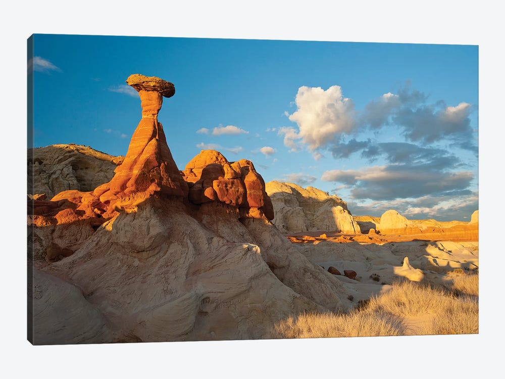 Toadstool-Shaped Hoodoo, Grand Staircase-Escalante National Monument, Utah, USA by Howie Garber 1-piece Canvas Wall Art
