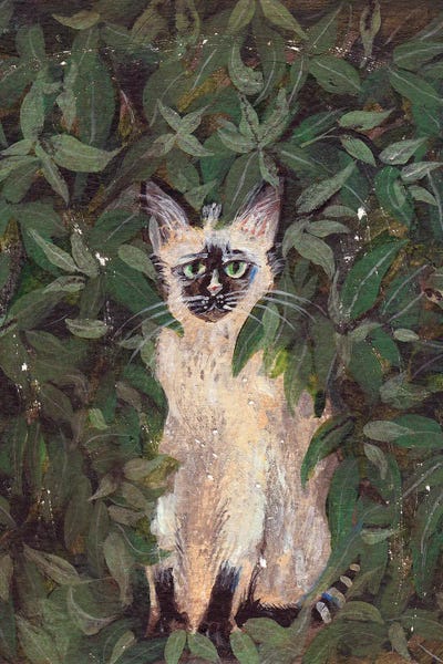 He Hidden Cat In The Bushes