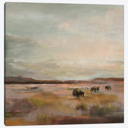 Buffalo Under a Big Warm Sky Canvas Print #HGM31} by Marilyn Hageman Canvas Print