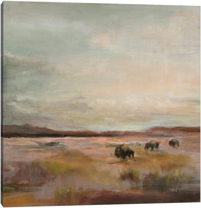 Buffalo Under a Big Sky-Warmer Canvas Art Print - Marilyn Hageman