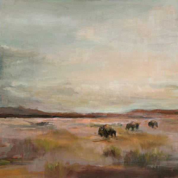 Bison & Buffaloes: Buffalo Under a Big Warm Sky by Marilyn Hageman