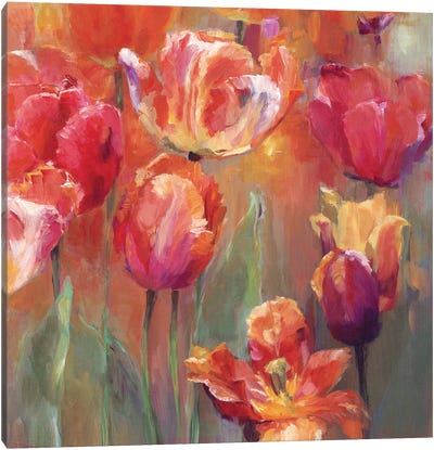 Tulips in the Midst II Pink -Red Canvas Art Print - Marilyn Hageman