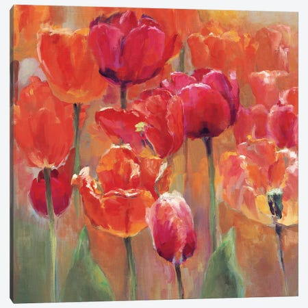 Tulips in the Midst I Pink-Red Canvas Print #HGM33} by Marilyn Hageman Canvas Art Print