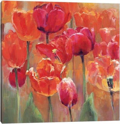 Tulips in the Midst I Pink-Red Canvas Art Print - Marilyn Hageman