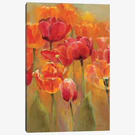 Tulips in the Midst I Canvas Print #HGM46} by Marilyn Hageman Canvas Print