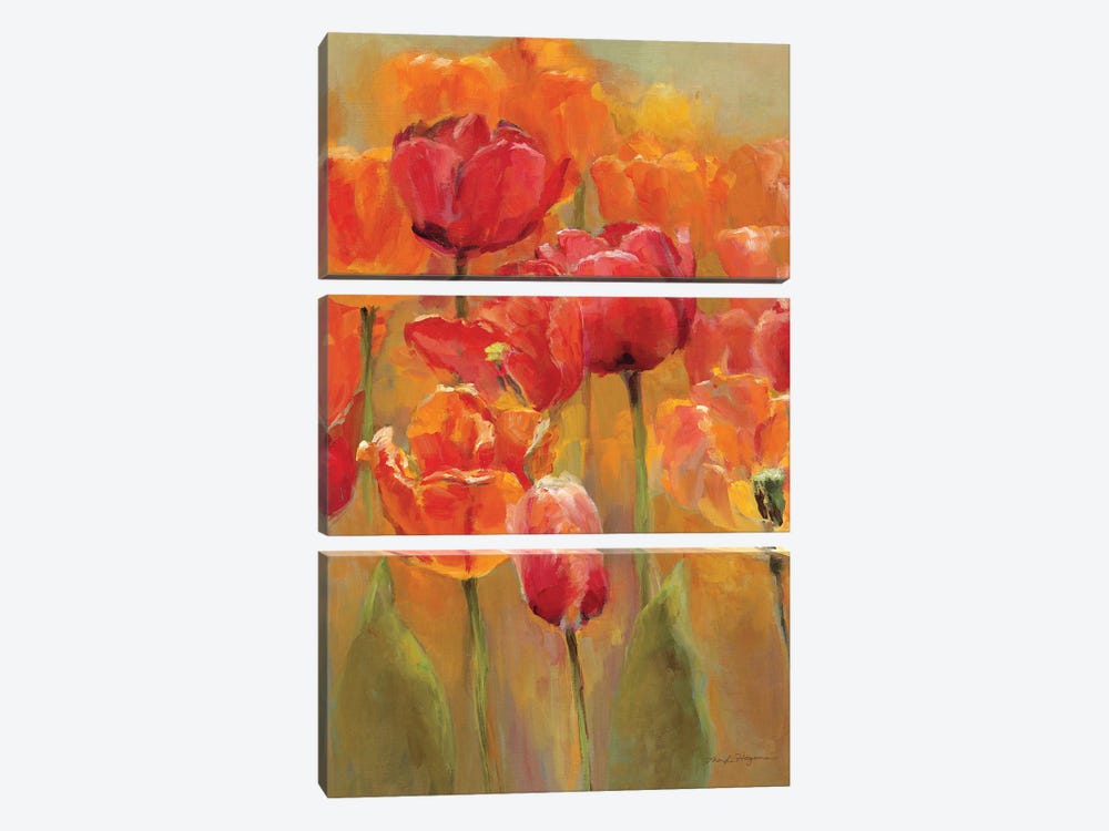 Tulips in the Midst I by Marilyn Hageman 3-piece Canvas Print
