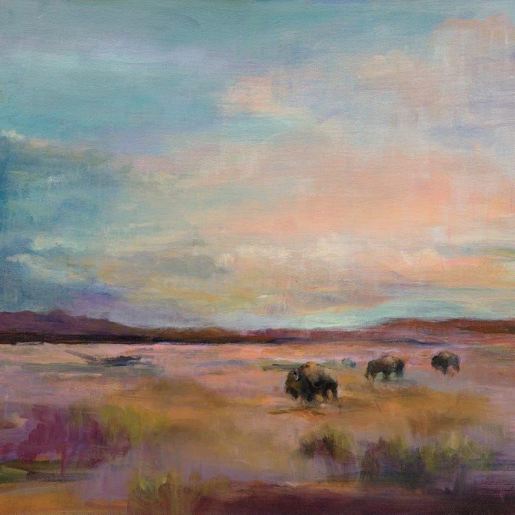 Buffalo Under A Big Sky by Marilyn Hageman wall art