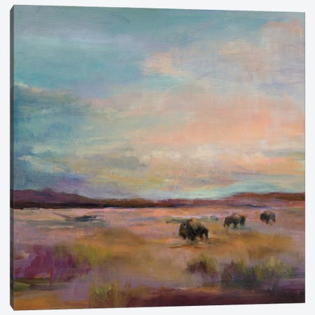Buffalo Under A Big Sky Canvas Print #HGM55} by Marilyn Hageman Canvas Art