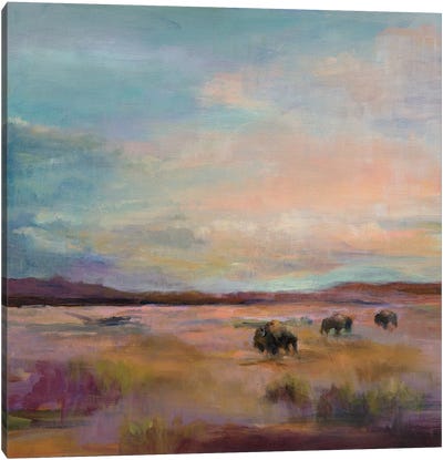Buffalo Under A Big Sky Canvas Art Print - Field, Grassland & Meadow Art