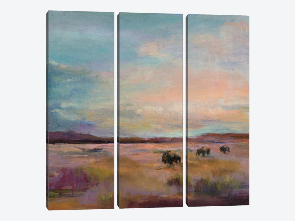 Buffalo Under A Big Sky by Marilyn Hageman 3-piece Canvas Print