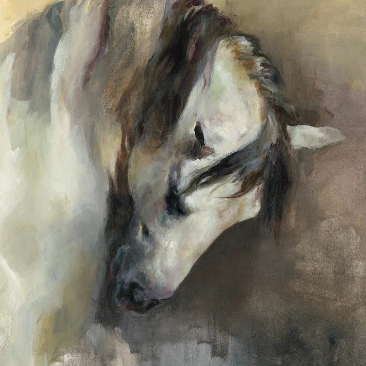 Classical Horse by Marilyn Hageman wall art