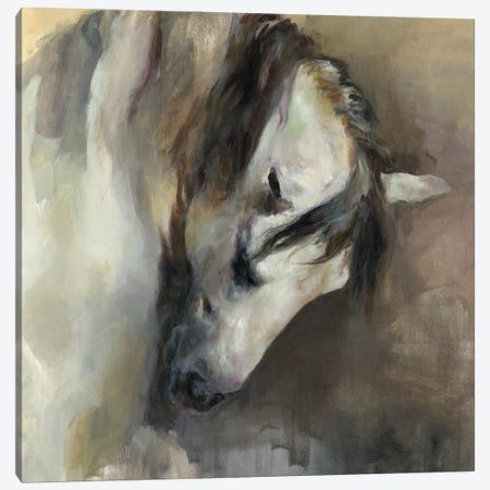 Classical Horse Canvas Print #HGM56} by Marilyn Hageman Canvas Wall Art