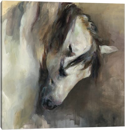 Classical Horse Canvas Art Print - Farm Animal Art