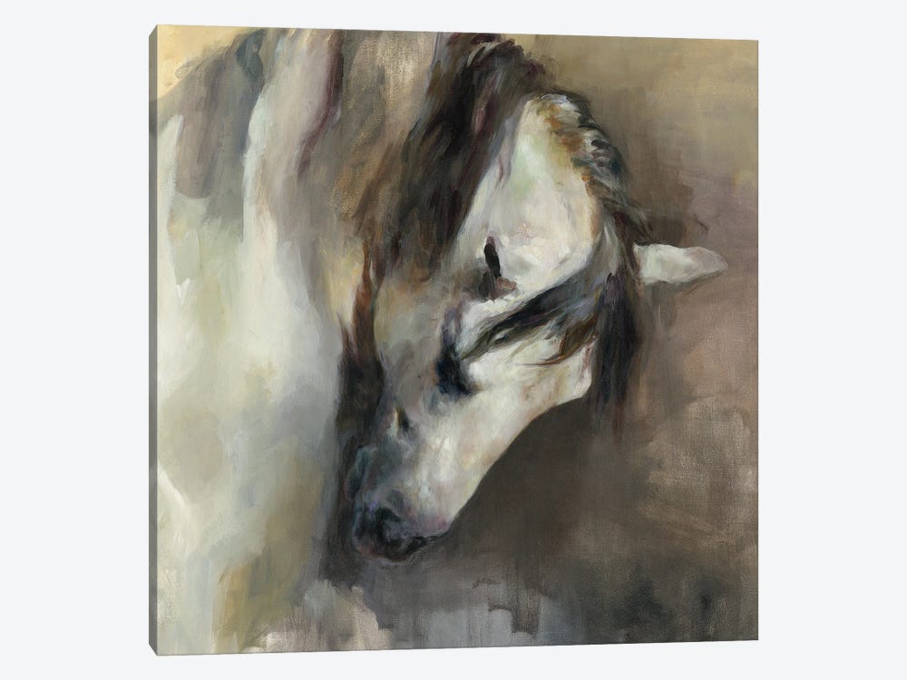 Classical Horse by Marilyn Hageman 1-piece Canvas Art