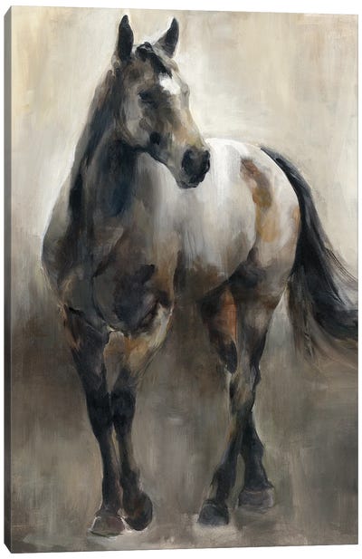 Copper And Nickel Canvas Art Print - Horse Art