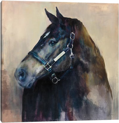 Ritzy Light Canvas Art Print - Horse Art