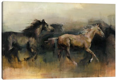 Roaming The West Canvas Art Print - Best Selling Animal Art
