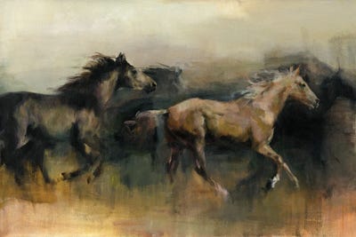 Horses