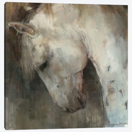 Renaissance Horse Canvas Print #HGM70} by Marilyn Hageman Canvas Art Print