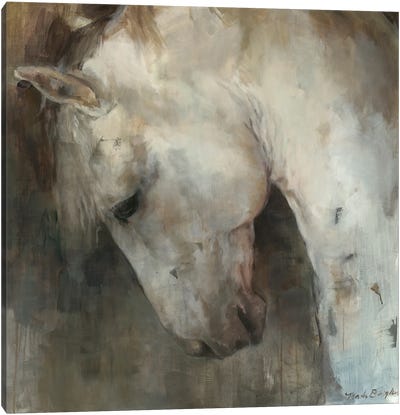 Renaissance Horse Canvas Art Print - Marilyn Hageman