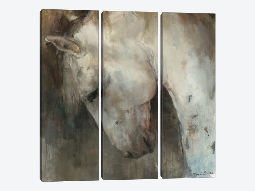 Renaissance Horse by Marilyn Hageman 3-piece Canvas Artwork