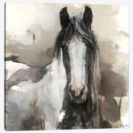 Black and White Horse Canvas Print #HGM76} by Marilyn Hageman Canvas Wall Art
