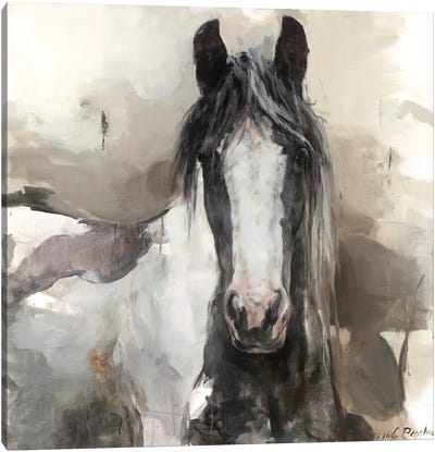 Black and White Horse Canvas Art Print - Marilyn Hageman