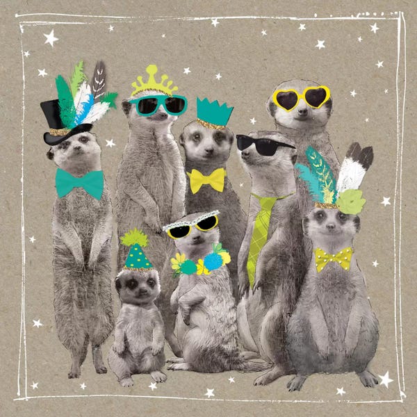 Ferrets: Fancy Pants Zoo I by Hammond Gower