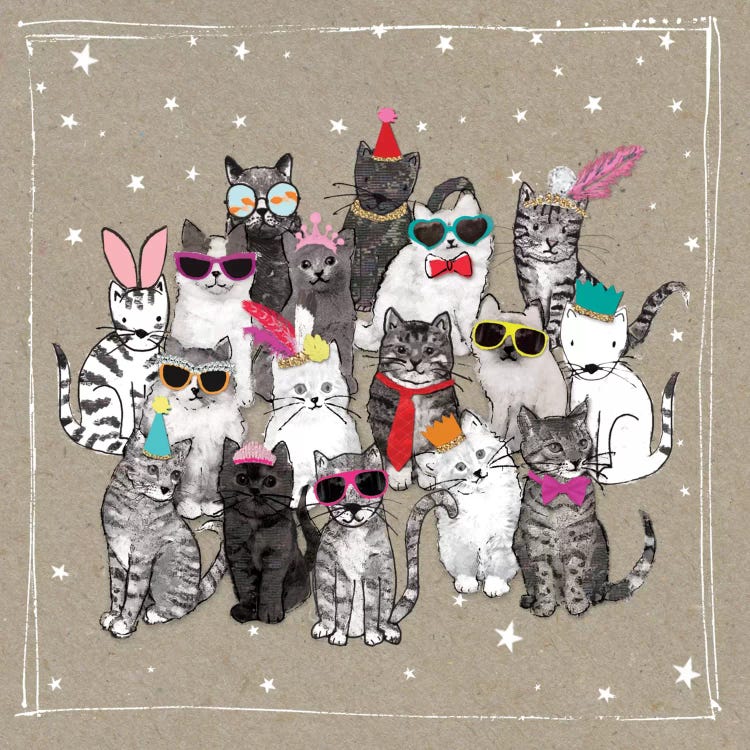 Fancy Pants Cats VII