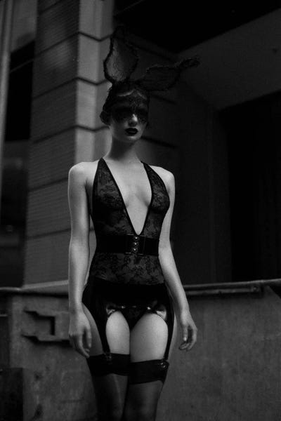 Sebastian Hilgetag: The Miss Fox V by Sebastian Hilgetag