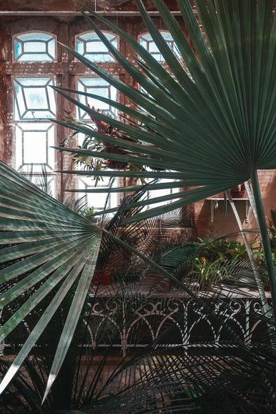 Sebastian Hilgetag: The Tropical Glasshouse II by Sebastian Hilgetag